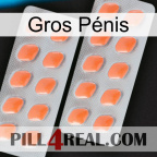 Gros Pénis 27